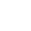 project implementation